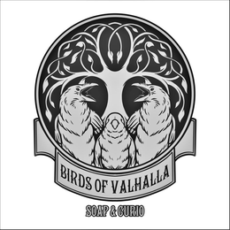 BIRDS OF VALHALLA SOAP & CURIO trademark