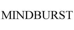 MINDBURST trademark