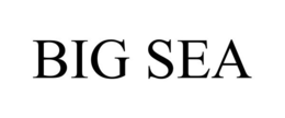BIG SEA trademark