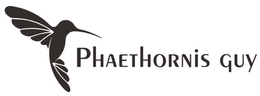 PHAETHORNIS GUY trademark