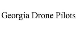 GEORGIA DRONE PILOTS trademark