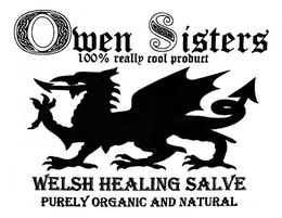 OWEN SISTERS 100% REALLY COOL PRODUCT WELSH HEALING SALVE PURELY ORGANIC AND NATURAL trademark