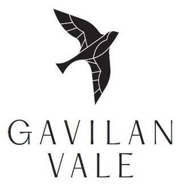 GAVILAN VALE trademark