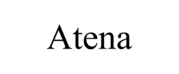 ATENA trademark