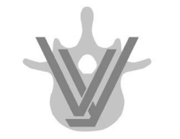 V Y trademark