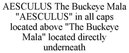 AESCULUS THE BUCKEYE MALA "AESCULUS" IN ALL CAPS LOCATED ABOVE "THE BUCKEYE MALA" LOCATED DIRECTLY UNDERNEATH trademark