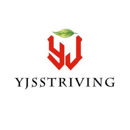 YJSSTRIVING trademark