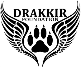 DRAKKIR FOUNDATION trademark