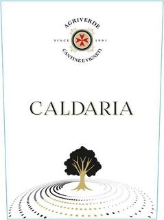 CALDARIA AGRIVERDE CANTINE E VIGNETI SINCE 1991 trademark