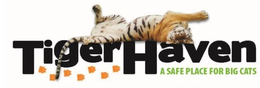 TIGER HAVEN A SAFE PLACE FOR BIG CATS trademark