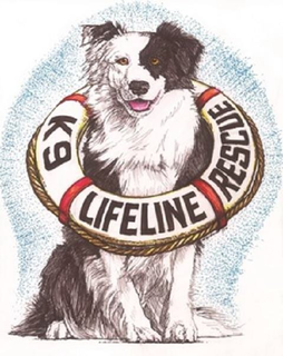 K9 LIFELINE RESCUE trademark