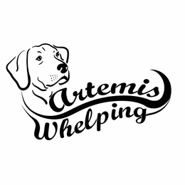 ARTEMIS WHELPING trademark