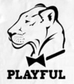 PLAYFUL trademark