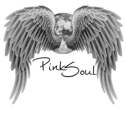 PINK SOUL trademark