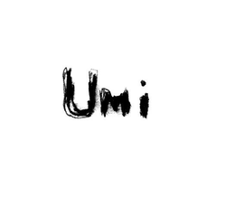 UMI trademark