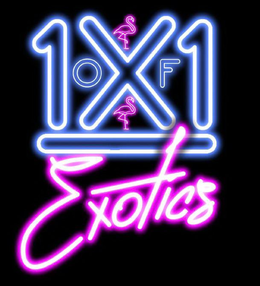 1X1 OF EXOTICS trademark