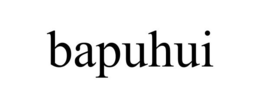 BAPUHUI trademark