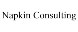 NAPKIN CONSULTING trademark