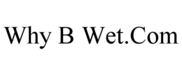 WHY B WET.COM trademark