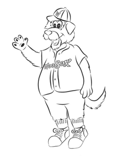 W WOOSOX trademark