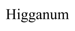 HIGGANUM trademark