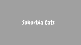 SUBURBIA CATS trademark