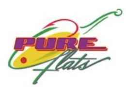 PURE FLATS trademark