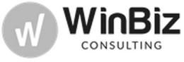 W WINBIZ CONSULTING trademark
