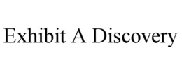 EXHIBIT A DISCOVERY trademark
