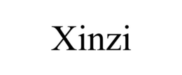 XINZI trademark