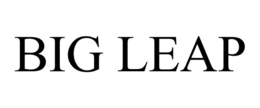 BIG LEAP trademark