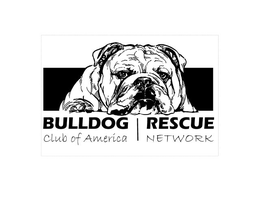 BULLDOG CLUB OF AMERICA RESCUE NETWORK trademark