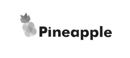 PINEAPPLE trademark
