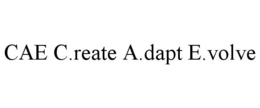 CAE C.REATE A.DAPT E.VOLVE trademark
