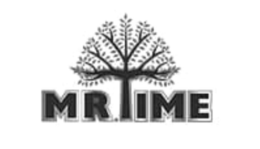 MR. TIME trademark