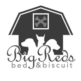 BIG REDS BED & BISCUIT trademark