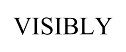VISIBLY trademark