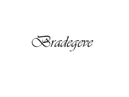 BRADEGEVE trademark