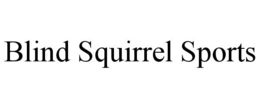 BLIND SQUIRREL SPORTS trademark