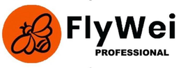 FLYWEI PROFESSIONAL trademark