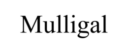 MULLIGAL trademark
