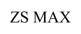 ZS MAX trademark