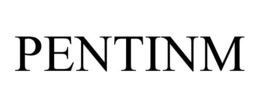 PENTINM trademark