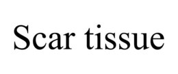 SCAR TISSUE trademark