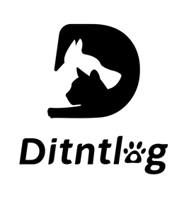 D DITNTLOG trademark