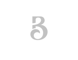 B3 trademark
