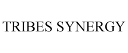 TRIBES SYNERGY trademark