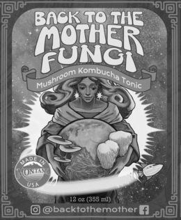 BACK TO THE MOTHER FUNGI, MUSHROOM KOMBUCHA TONIC, @BACKTOTHEMOTHER, MADE IN MONTANA, USA, 12 OZ, (355ML) trademark