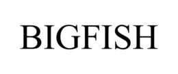 BIGFISH trademark
