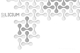 SILICIUM trademark